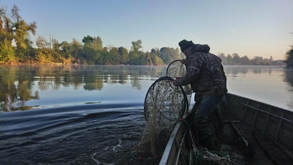 peche fluvio-estuarienne